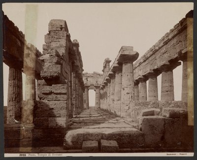  द्वारा जियोर्जियो गर्मी