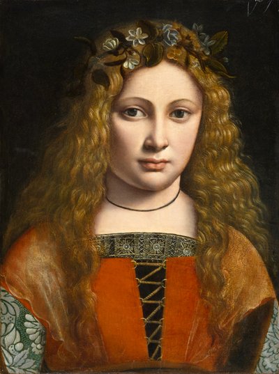 फूलों के साथ एक युवा लड़की का चित्रण, c.1490 द्वारा Giovanni Antonio Boltraffio
