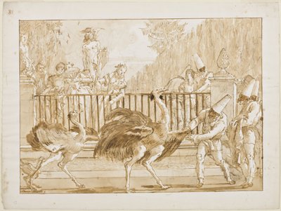 शुतुरमुर्ग के साथ पंचमेलो, c.1800 (कलम और हल्के भूरे रंग की स्याही (शायद बिस्ट्रे) और काले कागज पर ब्रश से धोएं) द्वारा जियोवन्ती बतिस्ता टाईपोलो