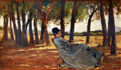 Giovanni Fattori (1825-1908), पैनल पर तेल, 20x33 सेमी द्वारा जियोवन्नी फत्तोरी