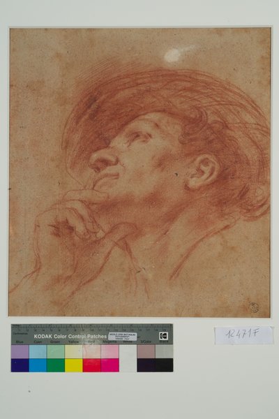 पैगंबर के प्रमुख के लिए अध्ययन Haggai (कागज पर लाल चाक) द्वारा जियोवन्नी फ्रांसेस्को बारबेरि (इल गुसेरिनो)