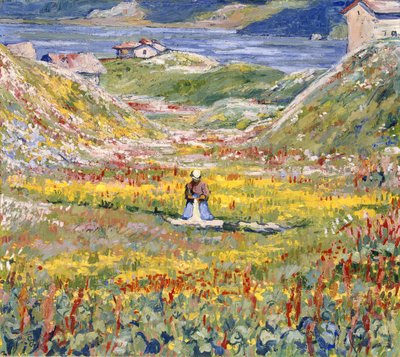 मालोजा में फूलों की घास; Bluhende wiesen bei Maloja, c.1912-1924 द्वारा Giovanni Giacometti