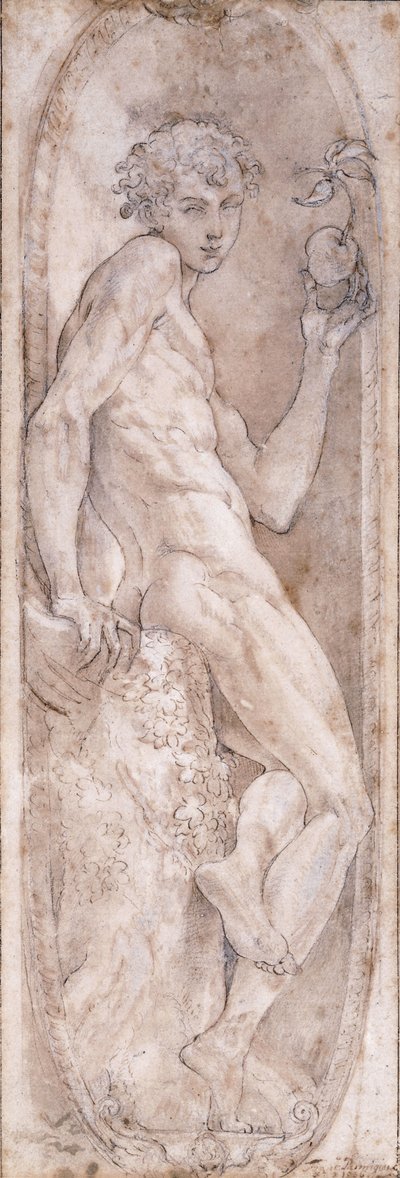 एडम ने मेडलियन में, Apple को बैठाया, c.1547-1553 द्वारा गिरोलामो माज़ोला बेदोली