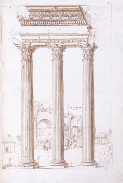 कास्टर और पोलक्स के मंदिर के स्तंभ, पृष्ठभूमि में शांति के मंदिर के साथ, c.1550 (काले चाक, कलम और भूरे रंग की स्याही में एक मूल चित्र) द्वारा Giulio (सर्कल ऑफ) रोमानो