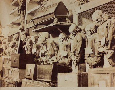 पलेर्मो में Capuchin friars के Catacombs का विवरण द्वारा Giuseppe निगमित