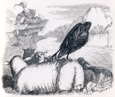 रेवेन ईगल की नकल करना चाहता है - ला फोंटेन द्वारा दंतकथाएं द्वारा ग्रैंडविल
