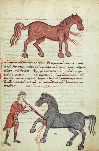 Ms Grec 2244 fol.4 एक घोड़े पर परिचालन द्वारा ग्रीक स्कूल