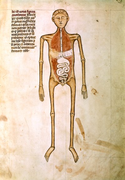  द्वारा Guido da Vigevano da Pavia
