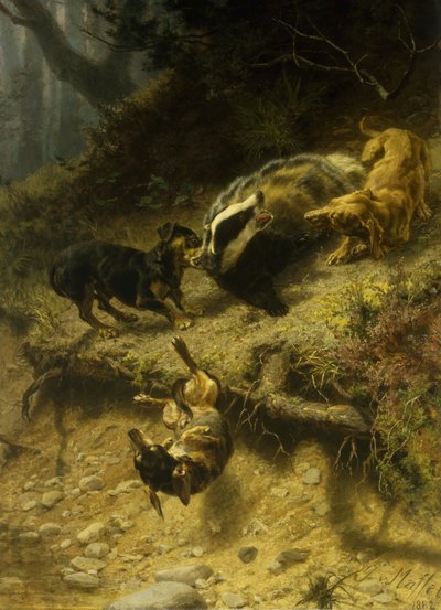 1882 में एक बेजर पर Dachshunds द्वारा Guido von Maffei