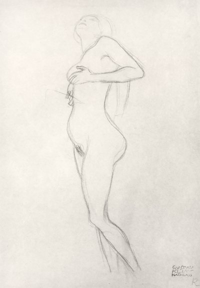स्थायी नग्न लड़की की तलाश द्वारा Gustav Klimt