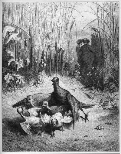 L'lark et ses petits avec le maitre d'une champ - द लार्क एंड हर यंग ओन्स विद द ओनर ऑफ़ ए फील्ड - 'फेबल्स' से जीन डे ला फोंटेन (लाफोंटेन) (1621-95) - गुस्ताव डोर के बाद उत्कीर्णन ( १८३२-८३) - निजी संग्रह द्वारा गुस्ताव (बाद में) डोर
