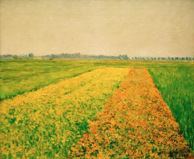 जेनवेविलियर्स का मैदान, पीला मैदान द्वारा गुस्ताव कैलेबोट्टे