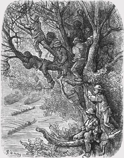 पेड़ों पर बैठा हुआ, 1872। द्वारा गुस्ताव डोर
