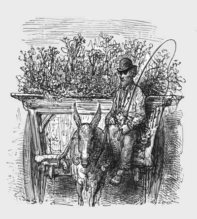 द फ्लावर हॉकर, 1872। द्वारा गुस्ताव डोर
