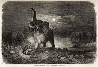 दक्षिणी अफ्रीका में चार्ल्स जीन एंडरसन के कारनामों और शिकार का वर्णन करने के लिए, गुस्ताव डोर (1832-1883) द्वारा चित्रित, नगामी झील (बोत्सवाना) के पास एक हाथी द्वारा शिकारी को आश्चर्यचकित किया गया। "" ले टूर डू मोंडे, नोव्यू जर्नल डेस वॉयेजेज &qu द्वारा गुस्ताव डोर