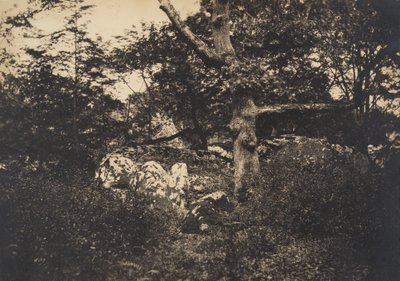 फॉनटेनब्लियू, 1849-52 में चट्टानों में ओक। द्वारा गुस्ताव लेग्रे