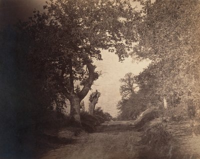 फॉनटेनब्लियू, सैंडी पाथ अपहिल, सीए। 1856. द्वारा गुस्ताव लेग्रे