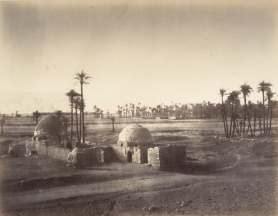 1867 में कर्नाक के मंदिर से लिया गया थेब्स के मैदान का दृश्य। द्वारा गुस्ताव लेग्रे