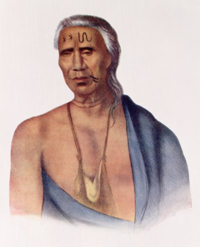 लाप-पा-विन-सो, एक डेलावेयर प्रमुख, थॉमस एल मैककेनी और जेम्स हॉल, पब द्वारा &39;द इंडियन ट्राइब्स ऑफ नॉर्थ अमेरिका, वॉल्यूम 1&39; का चित्रण। जॉन ग्रांट द्वारा द्वारा गुस्तावस हेसेलियस