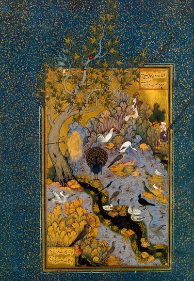 मंतिक अल-तायर द लैंग्वेज ऑफ द बर्ड्स से फोलियो, अत्तर द्वारा, c1600। द्वारा हबीब अल्लाह