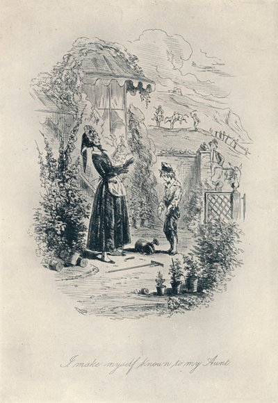 मैं अपनी चाची के लिए जाना जाता है। डेविड कॉपरफील्ड से नक़्क़ाशी, c1840-1880, 1923 द्वारा हबलोत नाइट ब्राउन