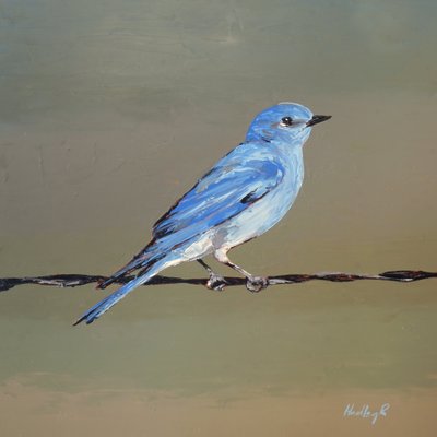  द्वारा हैडली रैम्पटन