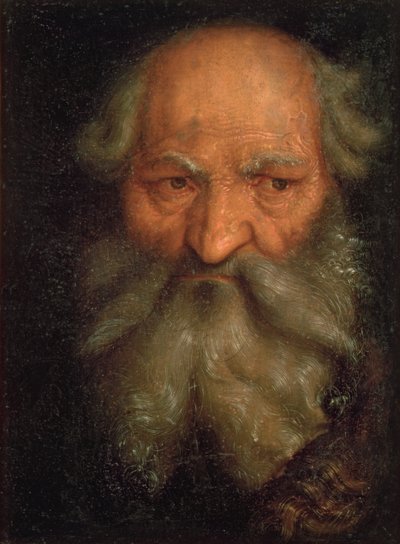 एक बूढ़े आदमी का सिर द्वारा Hans Baldung Grien