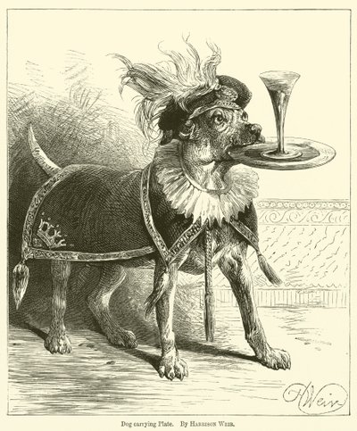 प्लेट ले जाने वाला कुत्ता द्वारा Harrison William Weir