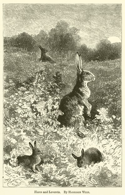 हार्स और लीवरेट्स द्वारा Harrison William Weir