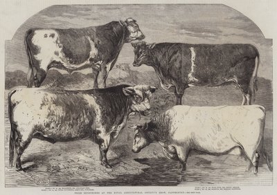 रॉयल एग्रीकल्चर सोसाइटी के शो, कैंटरबरी में पुरस्कार शोरोर्न द्वारा हैरिसन विलियम वियर