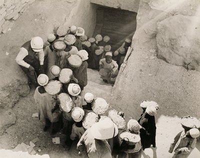  द्वारा हैरी बर्टन