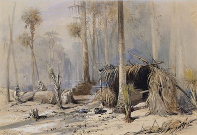 सरू-शिंगल यार्ड, ओक्लावाहा नदी, फ्लोरिडा, 1870। द्वारा हैरी फेन
