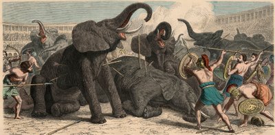 प्राचीन रोम: 1866 में एम्फीथिएटर में हाथी मारे गए थे द्वारा हेनरिक लेउटेमन
