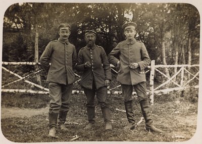 प्रथम विश्व युद्ध: 'जर्मन सेना के आक्रमण के दौरान 1914-1916 के वर्षों में यूक्रेन। सैनिकों का समूह (बी/डब्ल्यू फोटो) द्वारा हीरोज कब्रिस्तान Dsessentniki (attr।)
