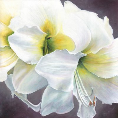 शुद्ध क्षमता, 2016, द्वारा Helen White
