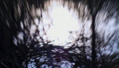 वाटर टेपेस्ट्री III, 2017 (हेरफेर की गई फोटोग्राफी) द्वारा Helen White