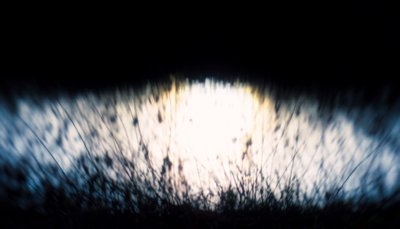 वाटर टेपेस्ट्री IV, 2017, (हेरफेर की गई फोटोग्राफी) द्वारा Helen White