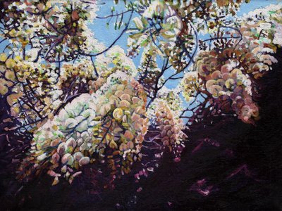 व्हाइट विस्टरिया, 2012, द्वारा हेलेन व्हाइट