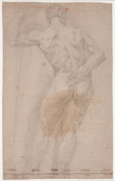 पीछे से देखा गया पुरुष मॉडल का अध्ययन द्वारा Hendrik Krock