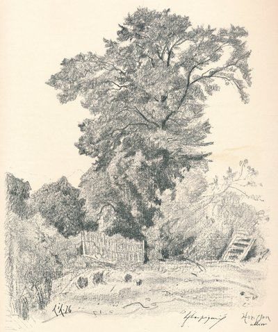 पेड़ों का अध्ययन, c1839-1898, 1898 द्वारा हेनरी जोसेफ हार्पनीज