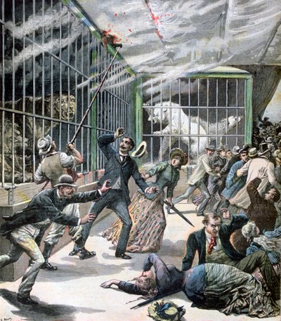 1891 में फ्रांस के मैन्ग्यू-लेस-माइंस में घटना द्वारा हेनरी मेयर