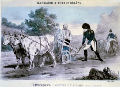नेपोलियन I (1769-1821) एक संत हेलेन: सम्राट एक फरो (30/06/1816) खलनायक की लिथोग्राफी जोतता है। 1816 इले डी'एक्स, मुसी नेपोलियनियन द्वारा हेनरी विलेन