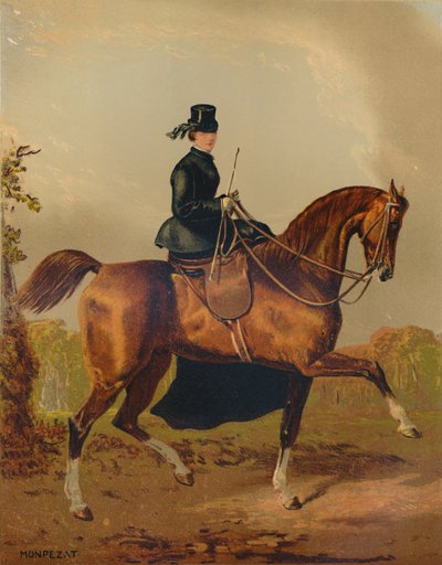 ए लेडीज़ हॉर्स - द प्रॉपर्टी ऑफ़ द लेट अर्ल ऑफ़ पेमब्रोक, c1840s, c1879। द्वारा हेनरी डी'इनेसी मोंटपेज़ातो