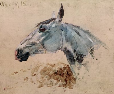 व्हाइट हॉर्स &39;गज़ेल&39;, 1881 द्वारा Henri de Toulouse Lautrec