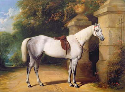 पार्क गेट्स द्वारा एक ग्रे हॉर्स, 1851 द्वारा Henry Barraud