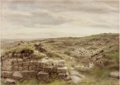 Housesteads, c.1848 (कागज पर पेंसिल और पानी के रंग) द्वारा हेनरी बर्डन रिचर्डसन