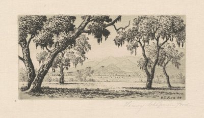 कैलिफोर्निया लैंडस्केप, 1888। द्वारा हेनरी चैपमैन फोर्ड