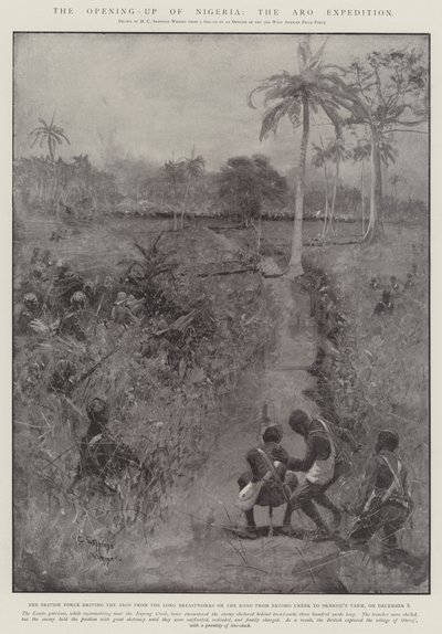 नाइजीरिया का उद्घाटन, एआरओ अभियान द्वारा Henry Charles Seppings Wright