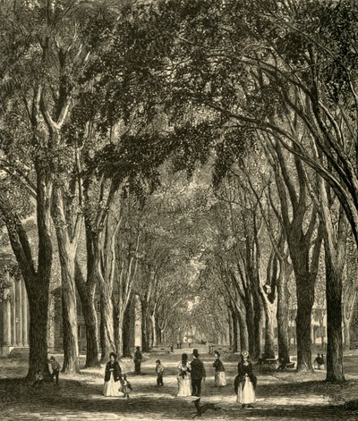 द न्यू-हेवन एल्म्स, 1874। द्वारा हेनरी डफ लिंटन