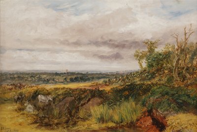 लैंडस्केप, 1856 द्वारा Henry Harris Lines